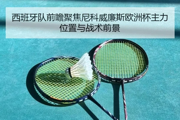 西班牙队前瞻聚焦尼科威廉斯欧洲杯主力位置与战术前景
